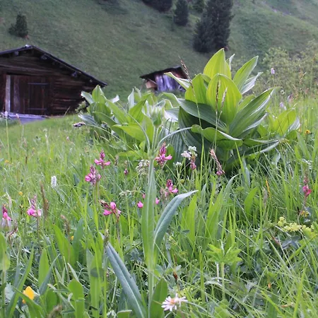 Merisana
